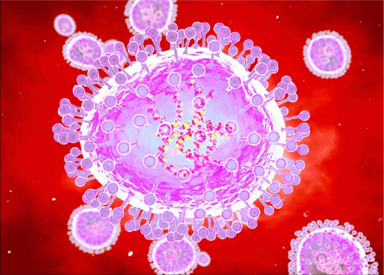 hpmv-virus